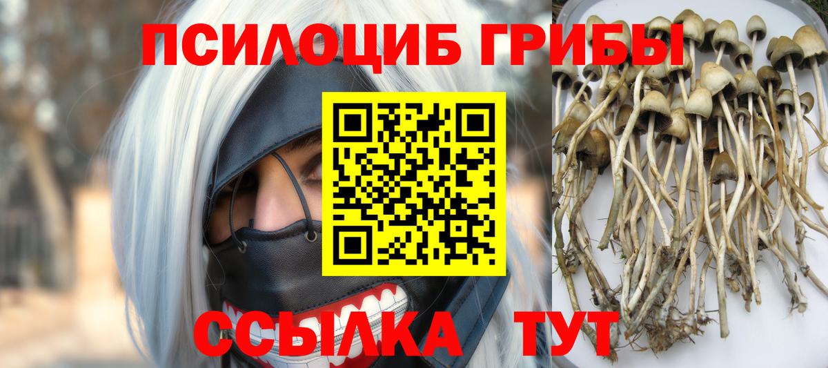 Псилоцибиновые грибы прущие грибы  Вход с VPN  Мегион 