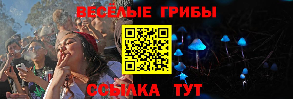 Псилоцибиновые грибы GOLDEN TEACHER Мегион
